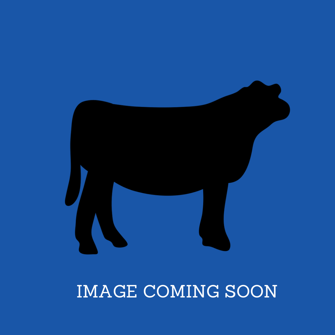 Thin Sliced T-Bone Steak